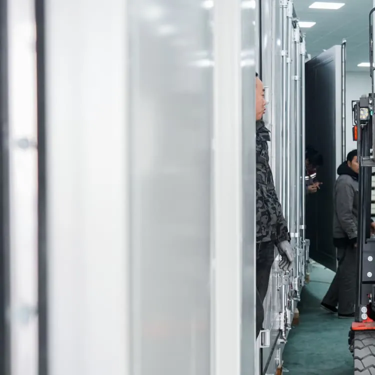 Sodium battery energy storage mechanism